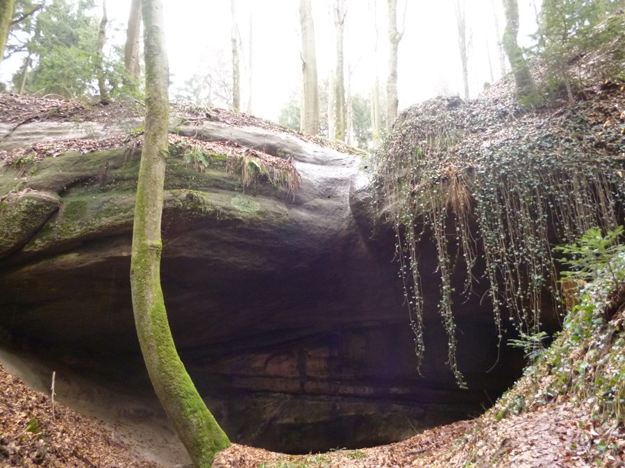Höhle im Wald
